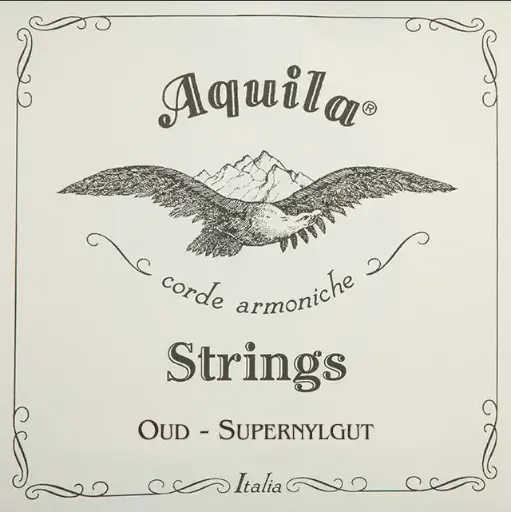 Aquila 74O Nylgut Iraqi Tuning 11-String Oud Set